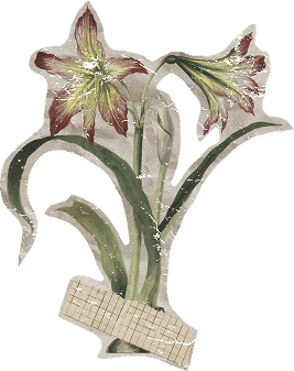 Illustratie Tuin