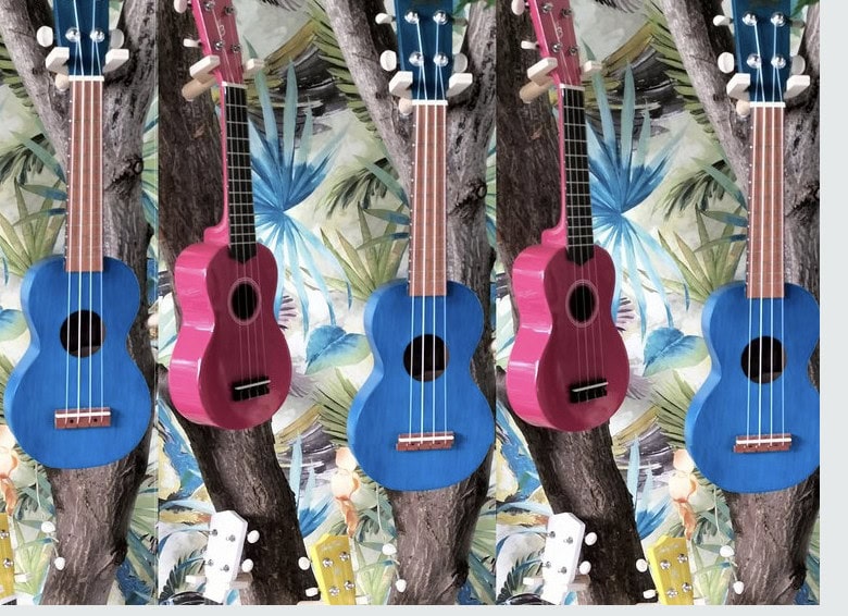 Workshop Ukelele op retreatlocatie 123Ole Spanje